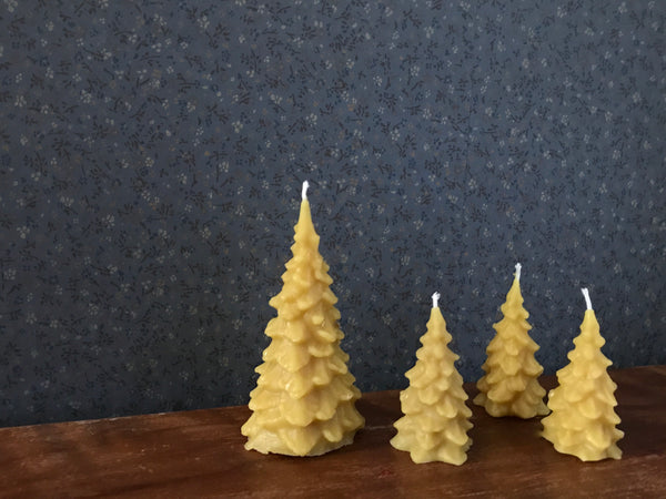 golden forest beeswax candles