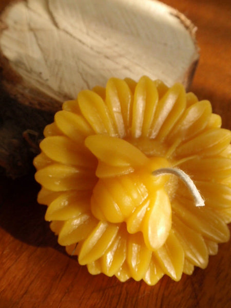 honey bee beeswax candle -candles- prettydreamer - 4