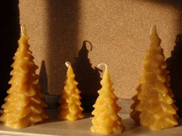 golden forest beeswax candles -candles- prettydreamer - 6
