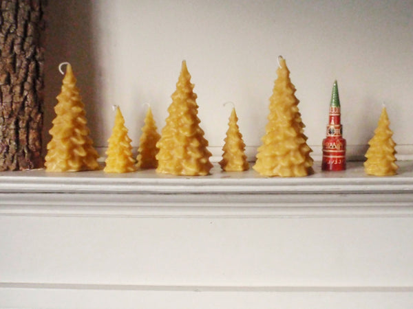 golden forest beeswax candles -candles- prettydreamer - 2