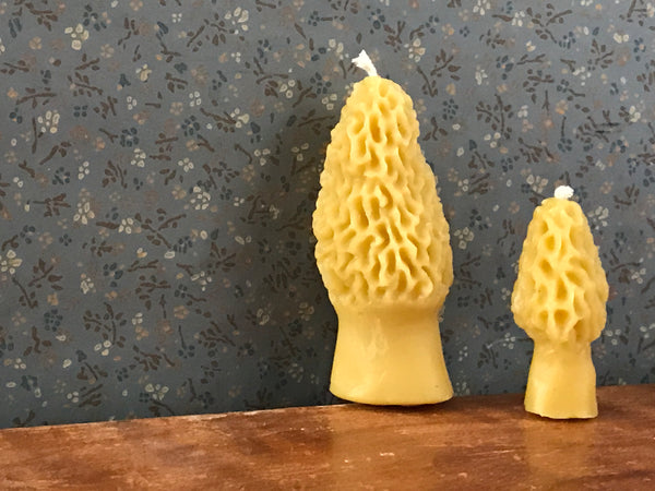 woodland morel toadstool candles - (pure beeswax candles)