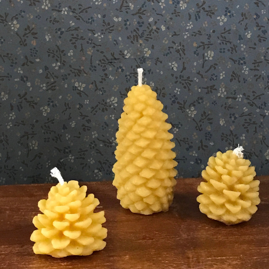 golden forest pinecone candles - (pure beeswax)