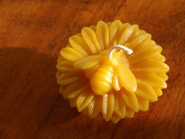 honey bee beeswax candle -candles- prettydreamer - 2