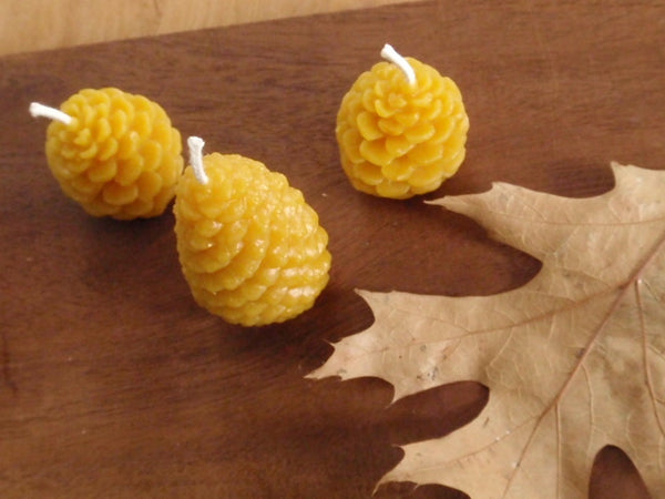 woodland pinecone candle - (pure beeswax)