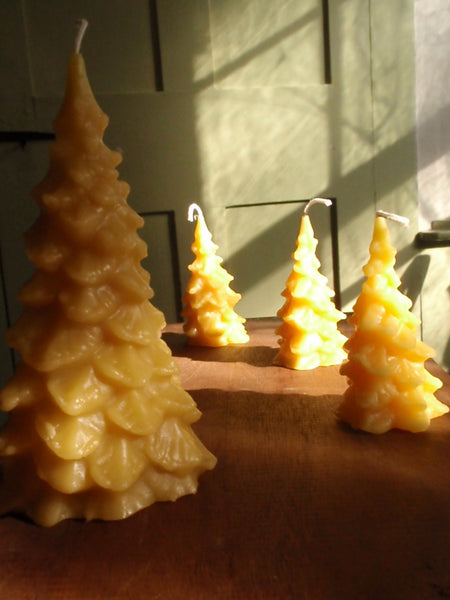 golden forest beeswax candles -candles- prettydreamer - 3